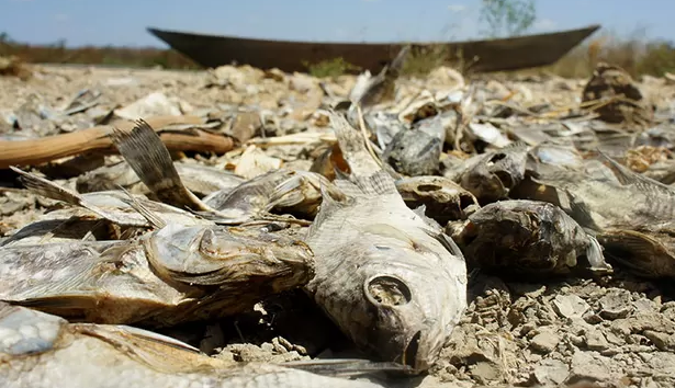 Seca grave atinge 37,13% dos municípios do Rio Grande do Norte; entre eles Jucurutu