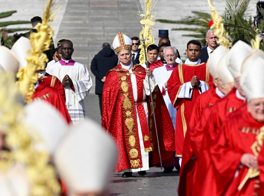 658413677_1429661135864693_3351490261328428218_n