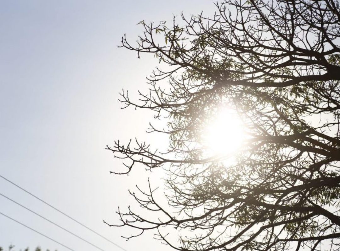 WhatsApp-Image-2019-08-17-at-07.48.09