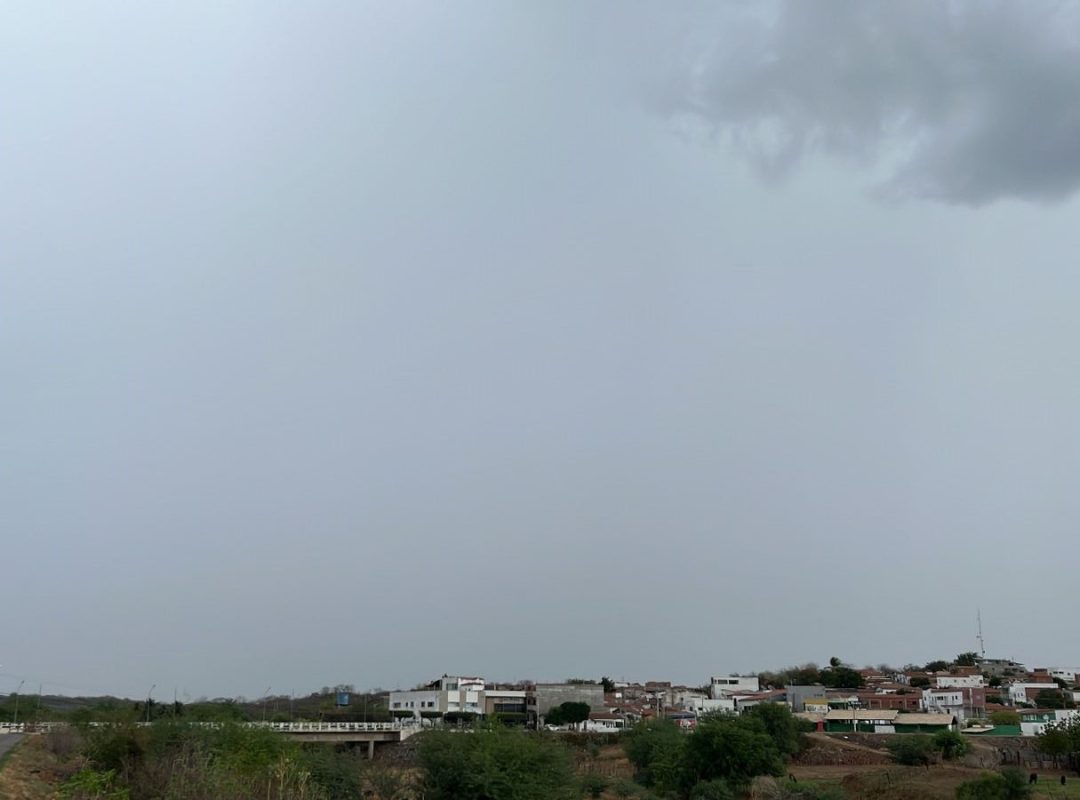 WhatsApp Image 2026-01-29 at 08.04.54