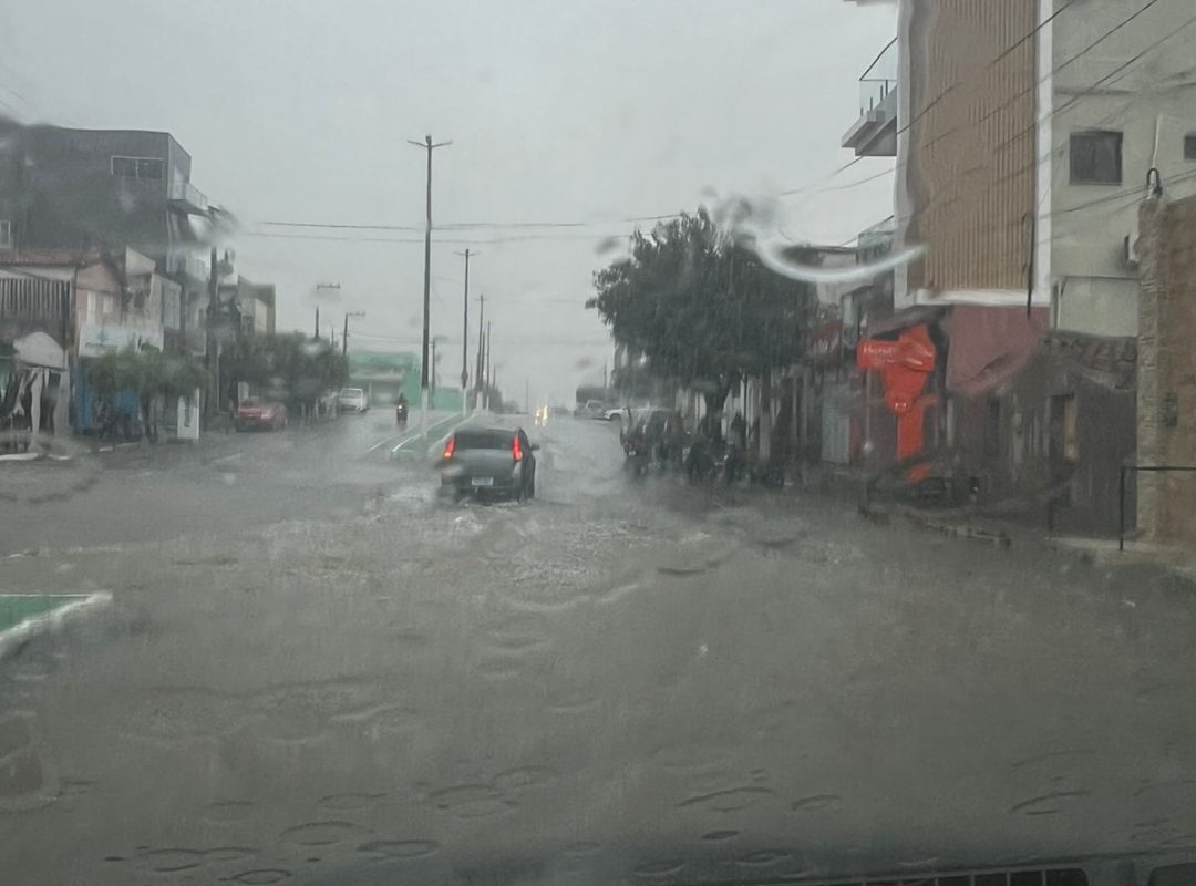 WhatsApp Image 2026-02-06 at 10.17.08