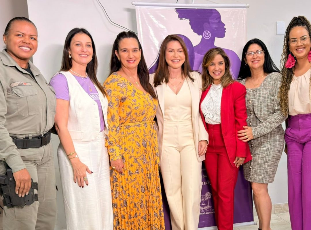 imagem-de-mulheres-em-pe-lado-a-lado-representando-varios-orgaos-publicos-1